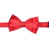 Premium Solid Royal Red BowTie Pocket Square 4 Piece Set Premium Solid Royal Red BowTie Pocket Square 4 Piece Set