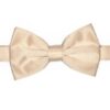Champagne BowTie Set for Suits & Tuxedos Champagne BowTie Set for Suits & Tuxedos