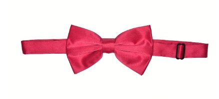 Solid Hot Pink BowTie Set for Suits & Tuxedos