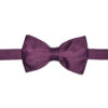 Men’s Solid Purple Bow Tie 4 Piece Set