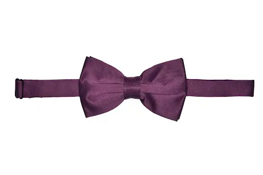 Eggplant-Plum Bow Tie with Matching Pocket Square Set