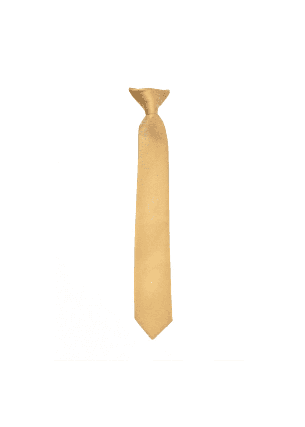 Solid Color Turquoise Clip-on Necktie for Suits and Tuxedos