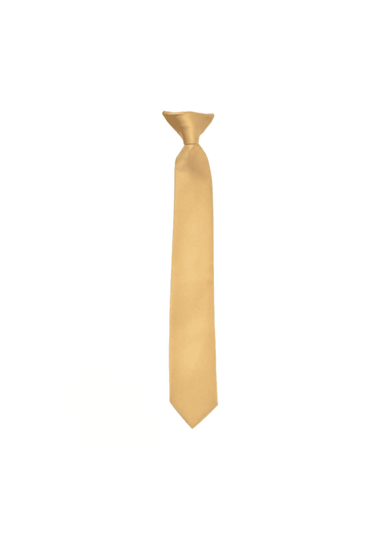 Solid Color Turquoise Clip-on Necktie for Suits and Tuxedos