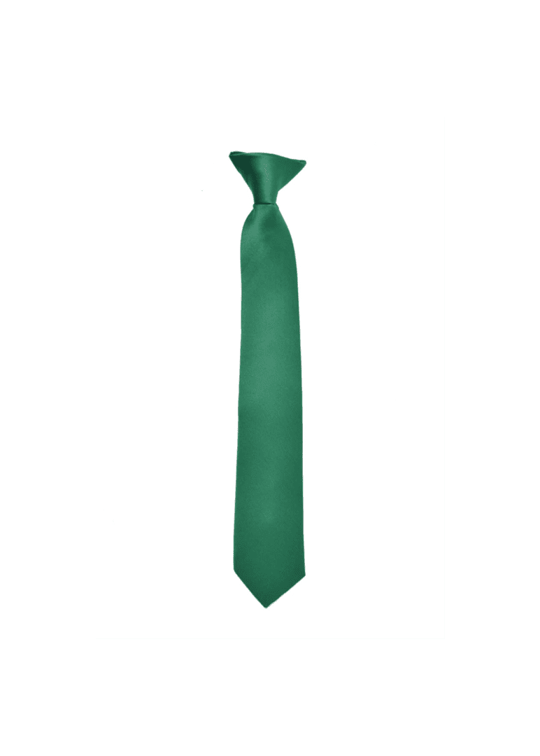 Turquoise NeckTie with great color combination