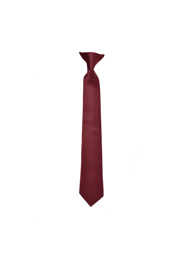 Boy’s Premium Turquoise Clip on Necktie for Suits in great color
