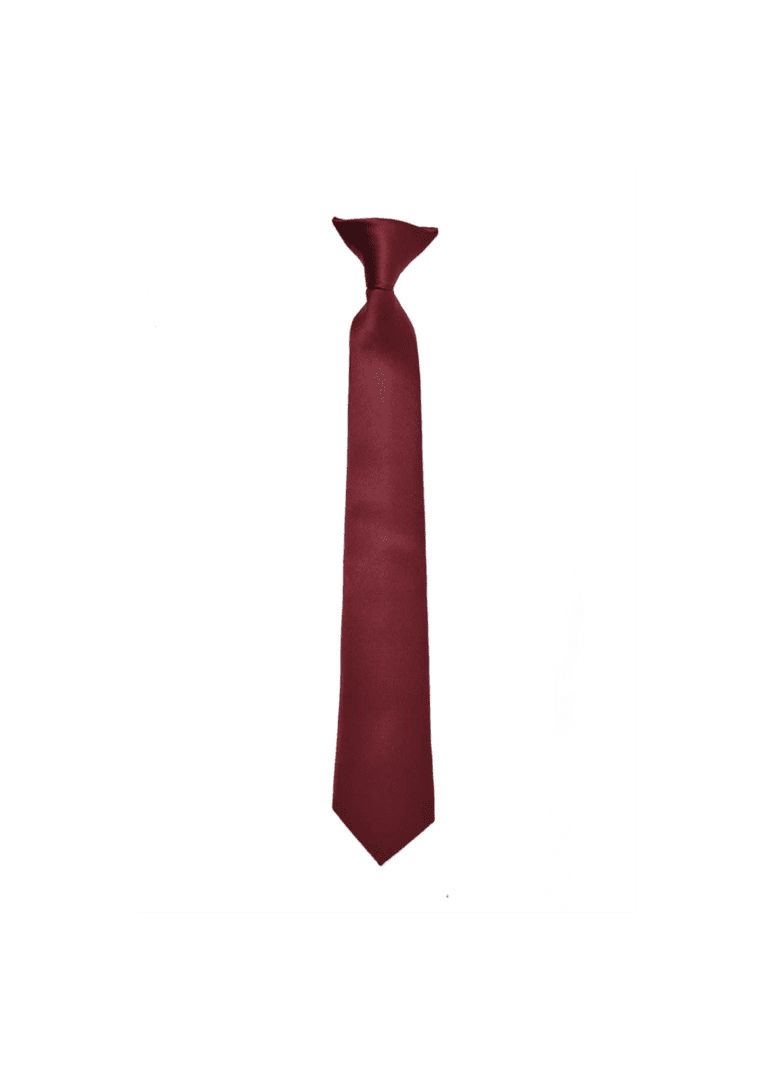 Boy’s Premium Turquoise Clip on Necktie for Suits in great color