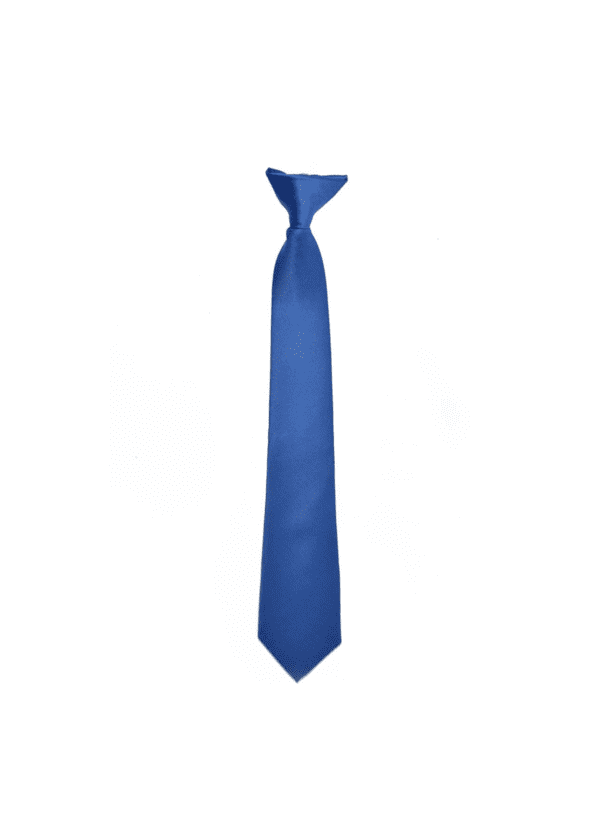 Turquoise Clip on Necktie for Suits with great color combination