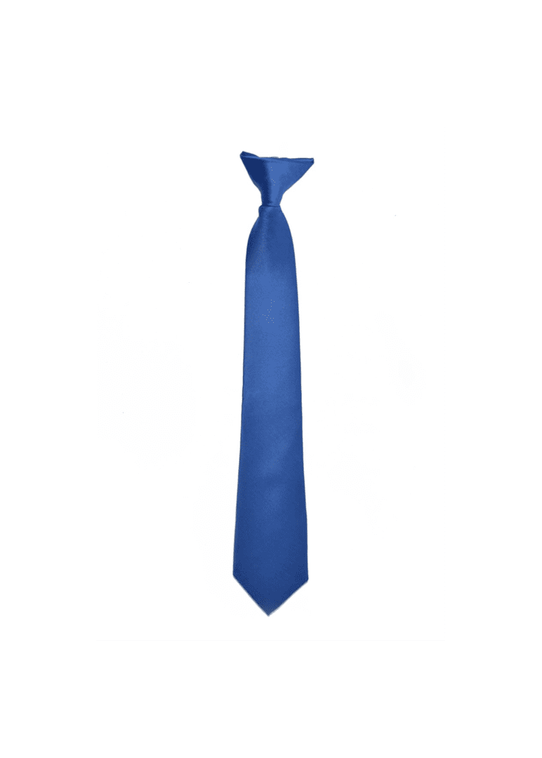 Turquoise Clip on Necktie for Suits with great color combination