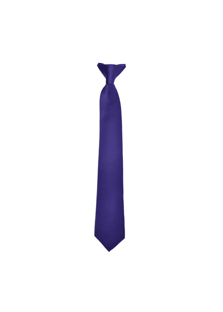 Premium Turquoise Clip on Necktiein Solid Color for Suits