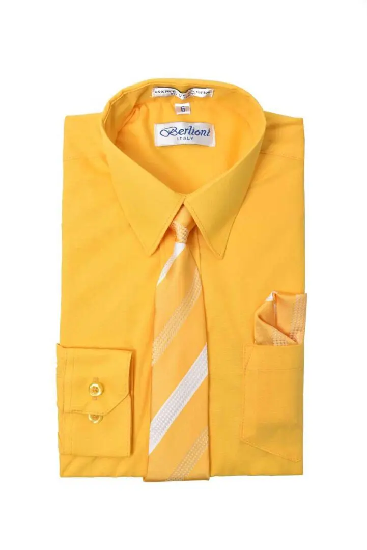 Gold Yellow Gold Long Sleeves Dress Shirt with Matching Necktie Set