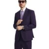 Premium Dark-Purple Three Piece suit Set