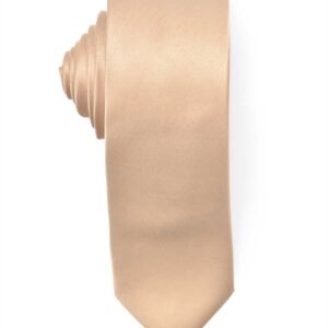 Men's Premium Slim Beige Champagne Nude Necktie for Suits
