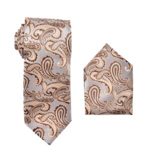 Paisley Beige with Silver Necktie with Matching Pocket Square Set
