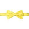 Canary-yellow-paisley-bowtie - Copy