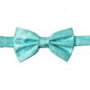 aqua-paisley-bowtie - Copy