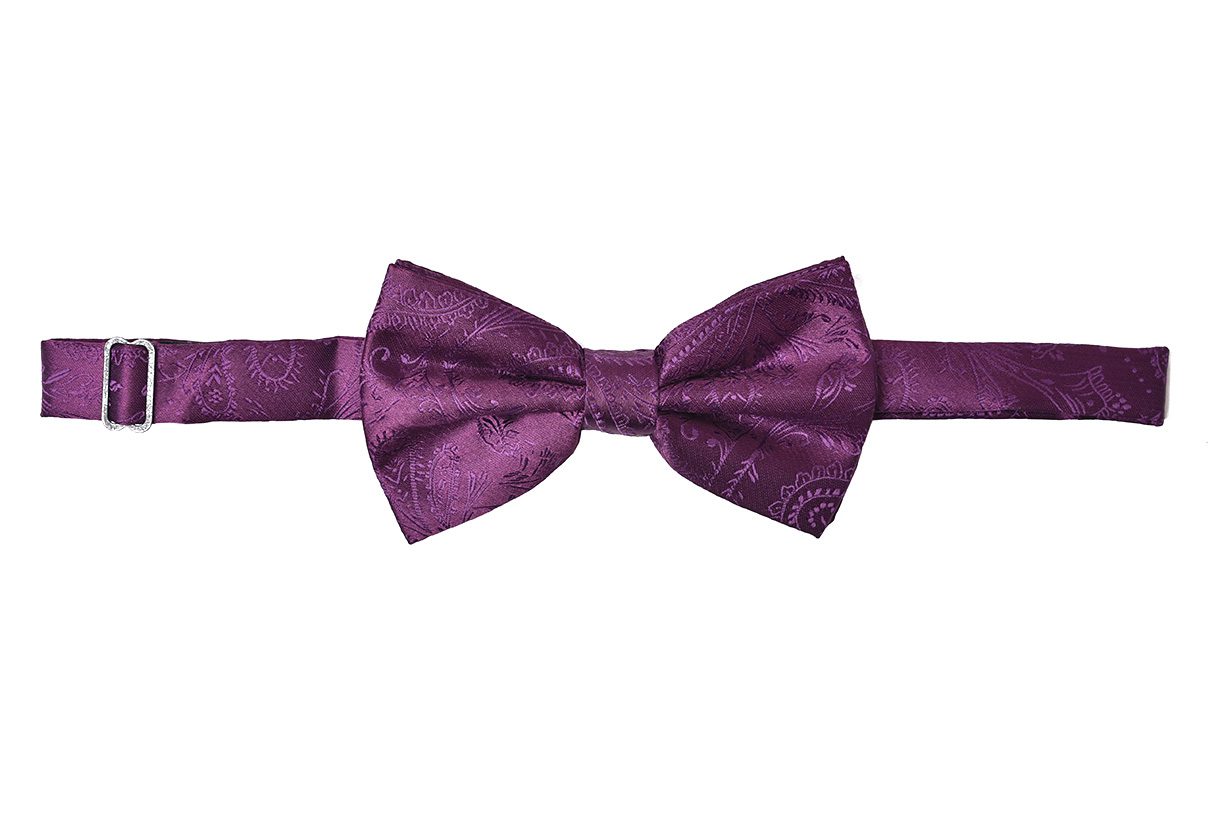dahlia-plum-eggplant-paisley-bowtie - Copy