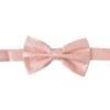 peach-paisley-bowtie - Copy