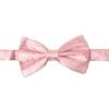 pink-paisley-bowtie - Copy